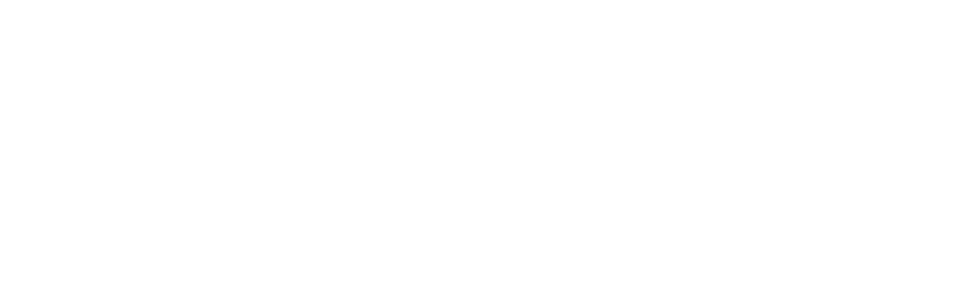 Logo weiß